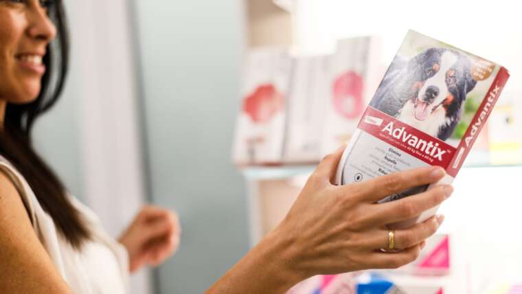 Tierarzneimittel und Produkte in Patti